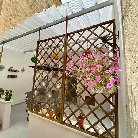 Seacily House Guest house *